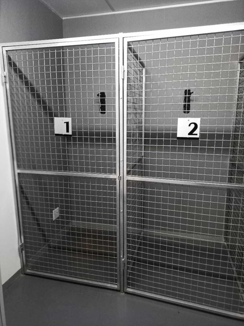 To Let commercial Property for Rent in Newlands Western Cape